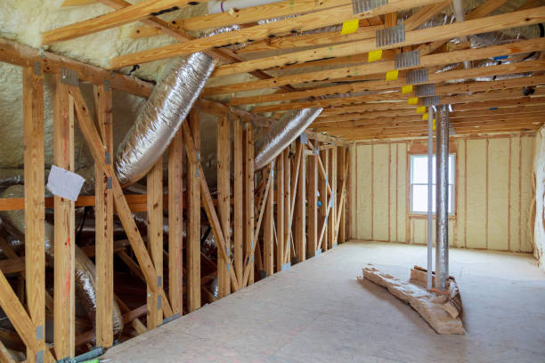 Best Eco-Friendly Insulation in Nolanville, TX