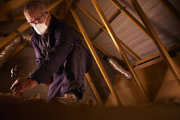 Best Cellulose Insulation in Nolanville, TX